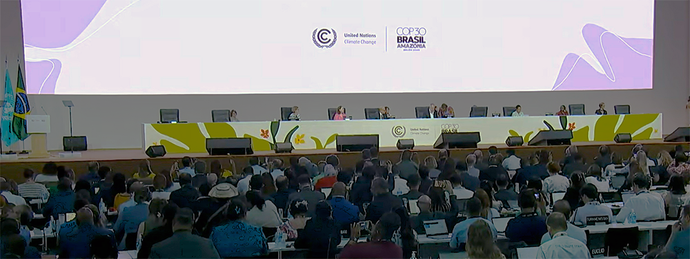 Plenario celebrado en la COP30 de Belém (Brasil)