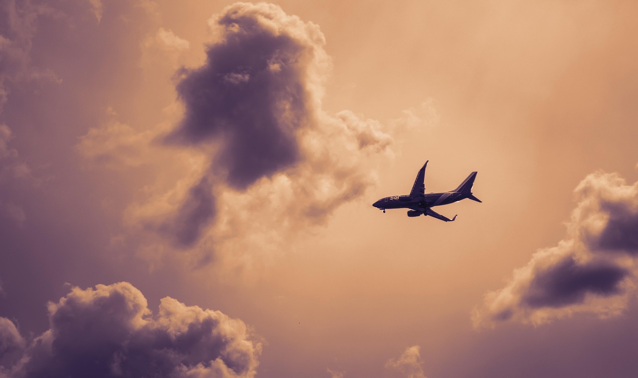 Organizaciones de la sociedad civil manifiestan su oposición a las ampliaciones de aeropuertos contenidas en el DORA III aprobado por el Gobierno